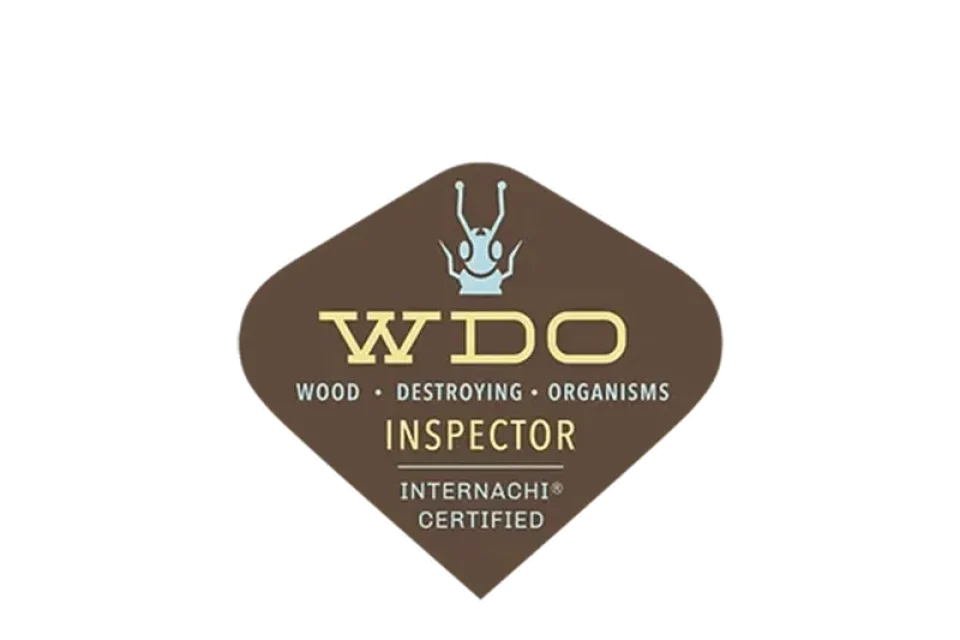 wdo-logo.png wdo-logo.png